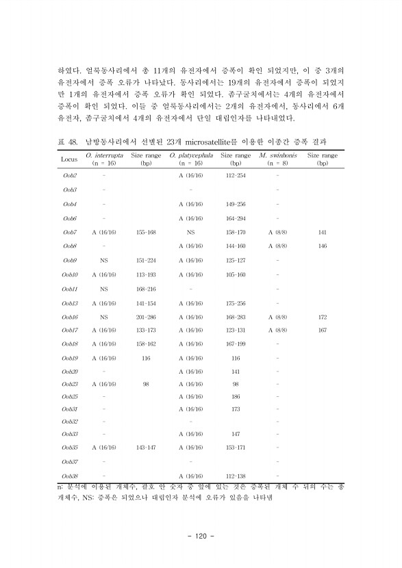 120페이지