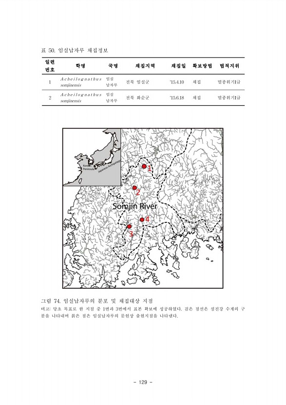 141페이지