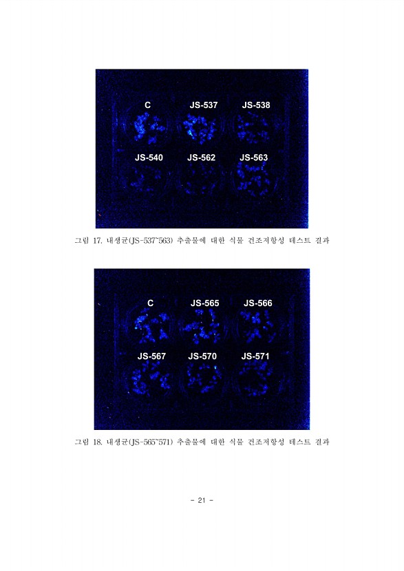 21페이지