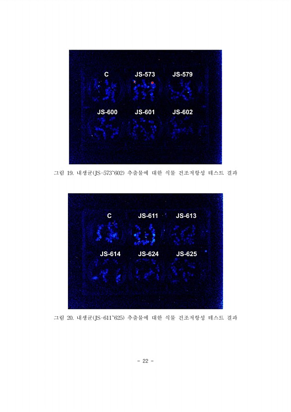 22페이지