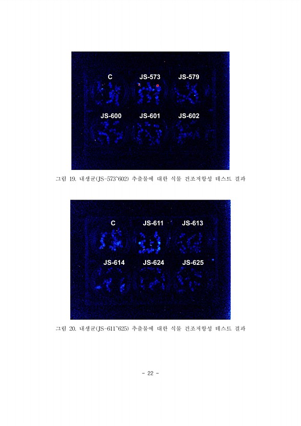 22페이지