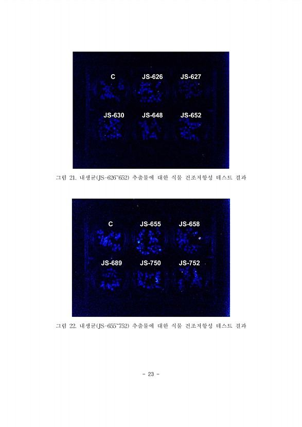 23페이지