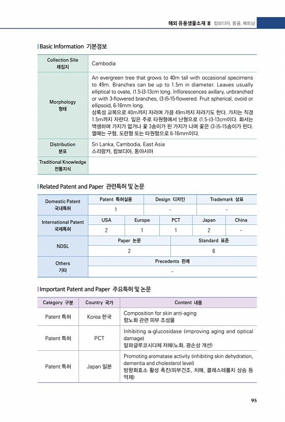 50페이지