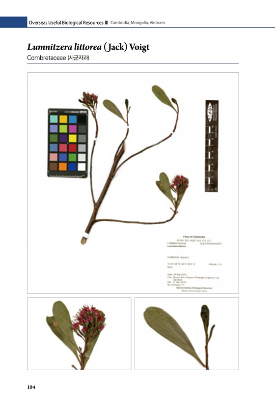 59페이지