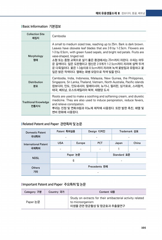 60페이지