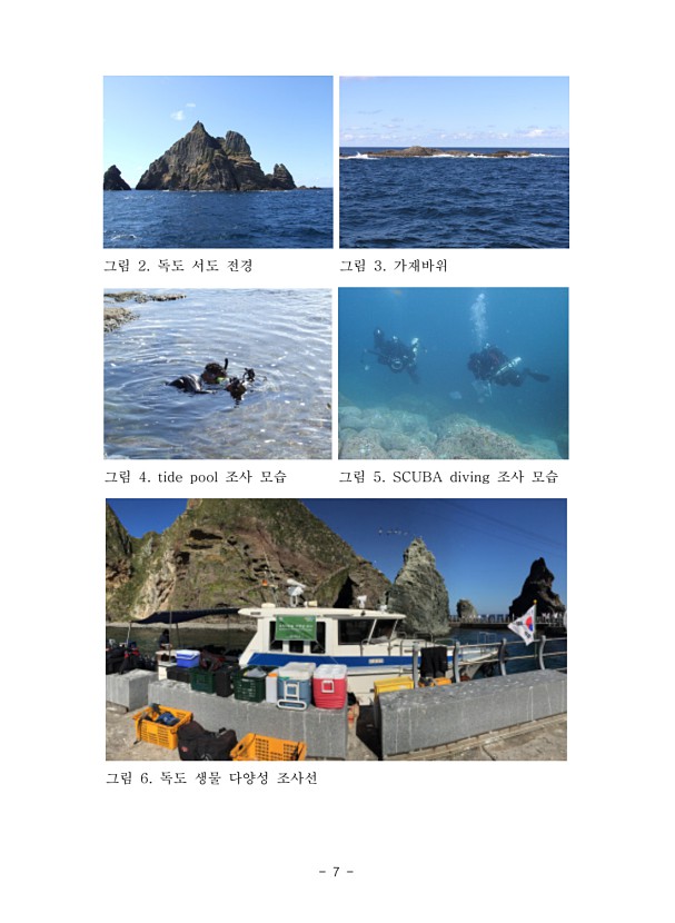 독도의 무척추동물(십각류 및 해면류) 다양성 조사 1차년도