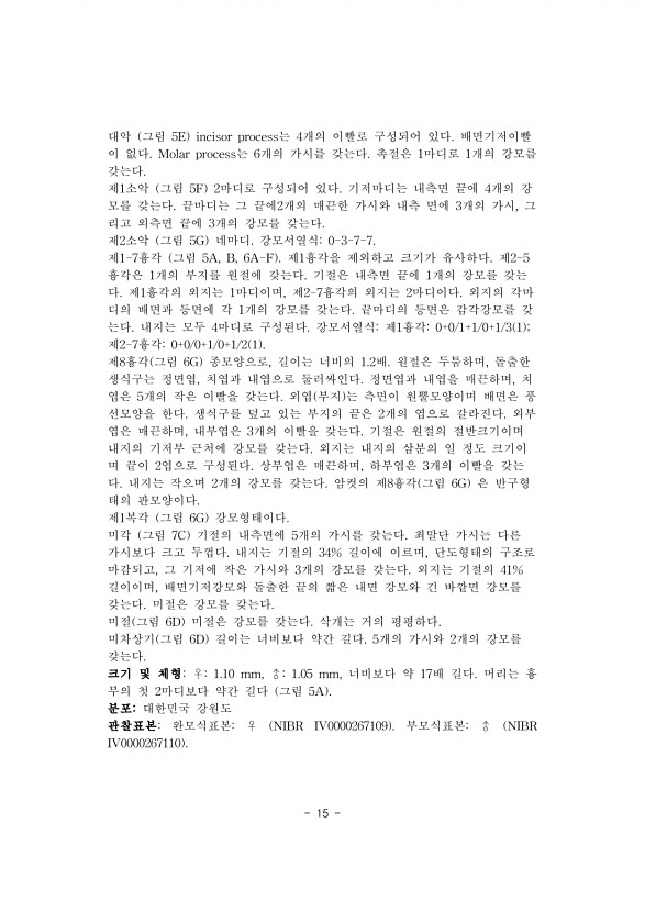 15페이지