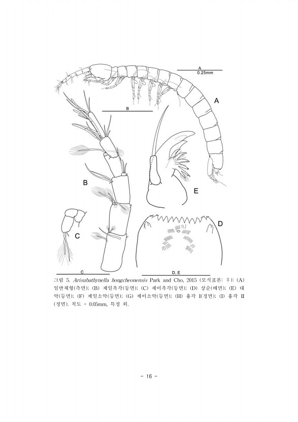 16페이지