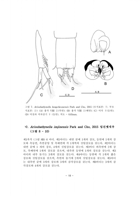 18페이지