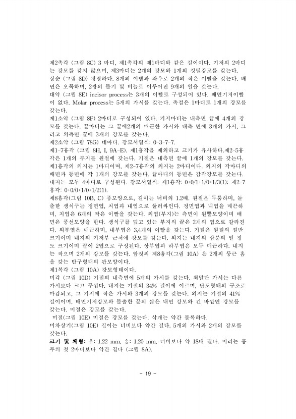 19페이지