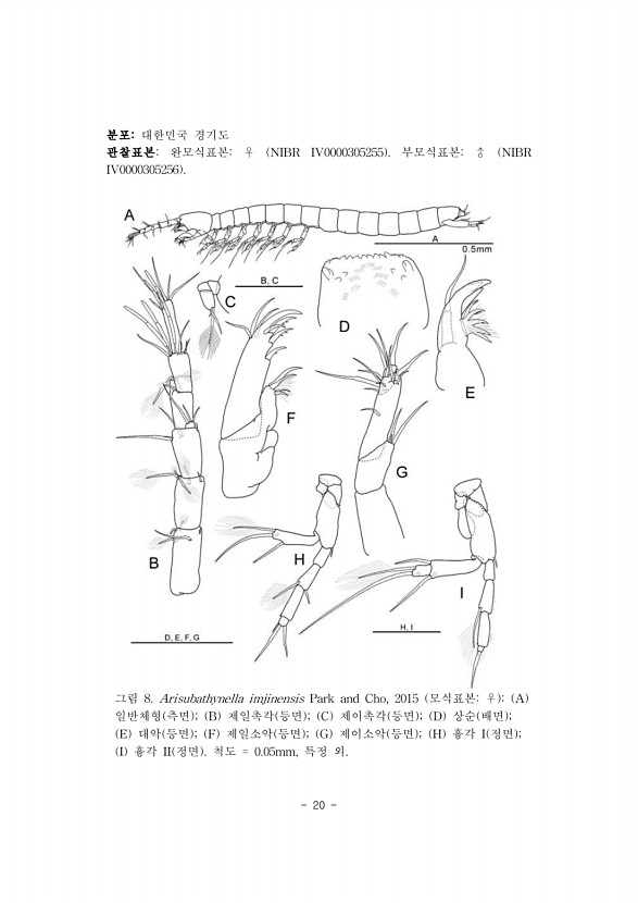 20페이지