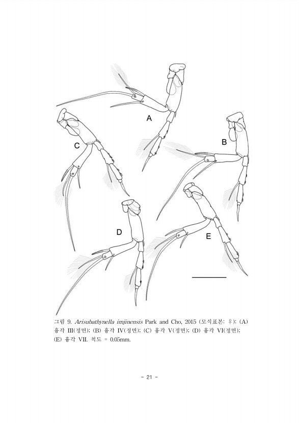 21페이지