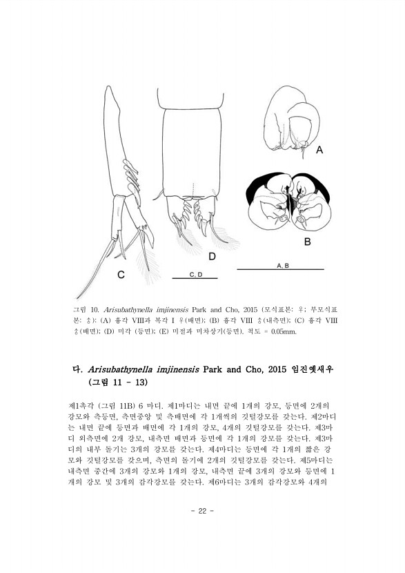 22페이지