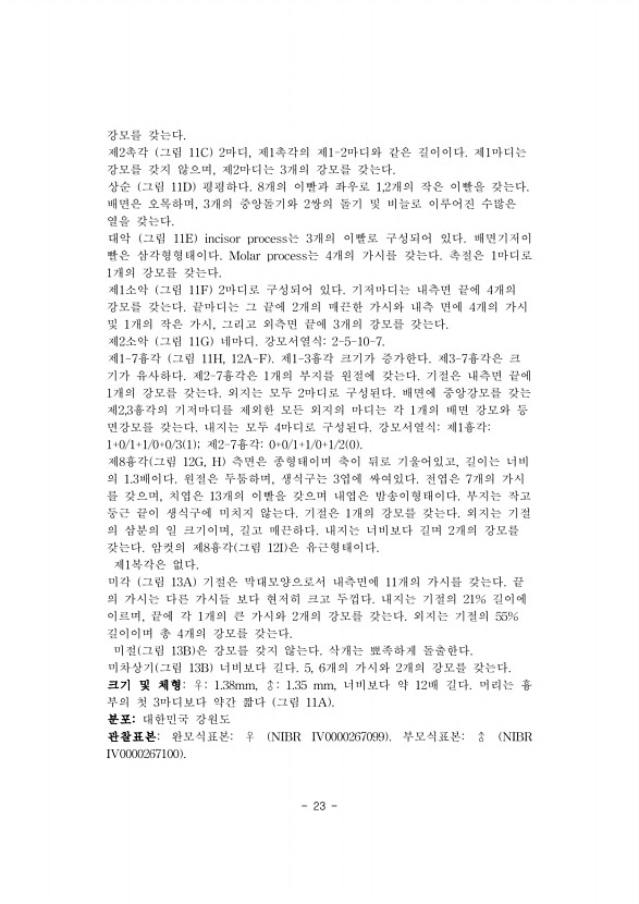 23페이지