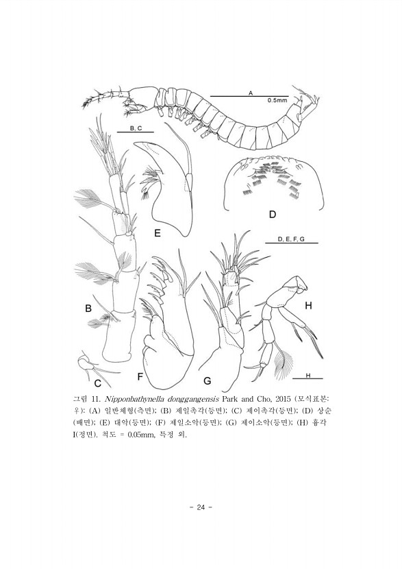 24페이지
