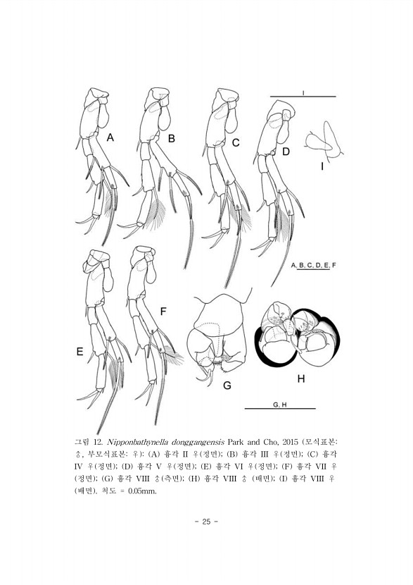 25페이지