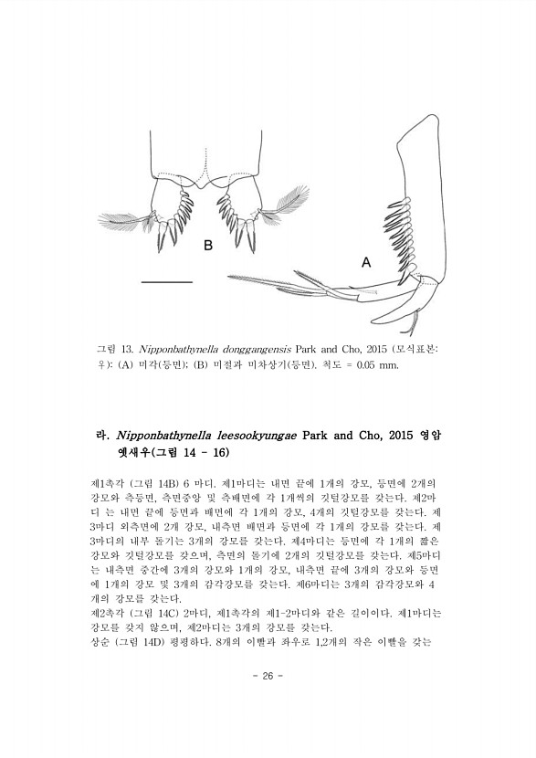 26페이지