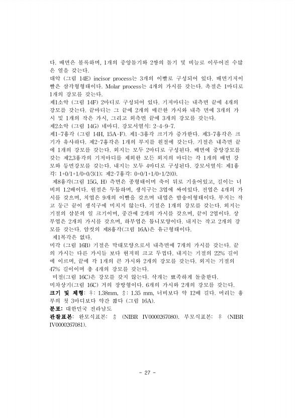 27페이지