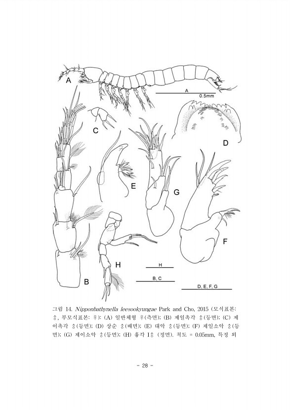 28페이지