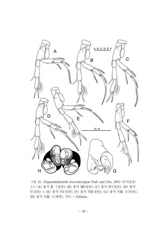 29페이지