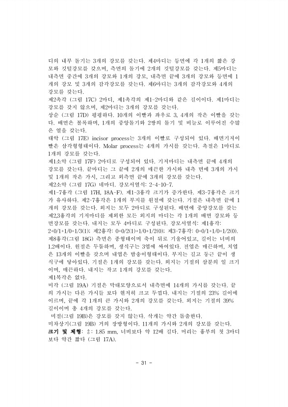 31페이지