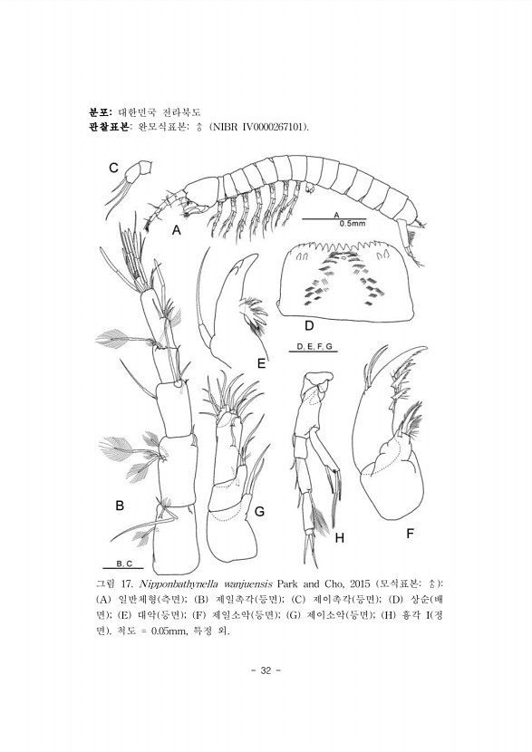32페이지