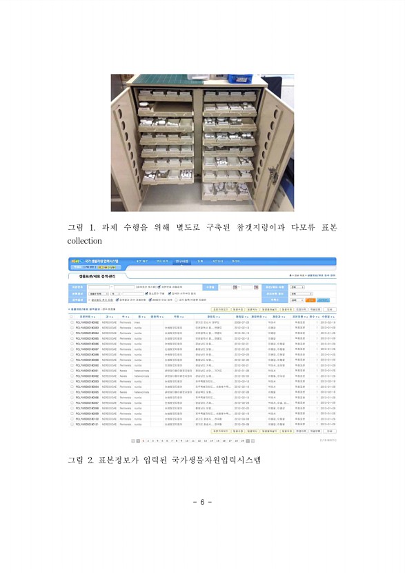 6페이지