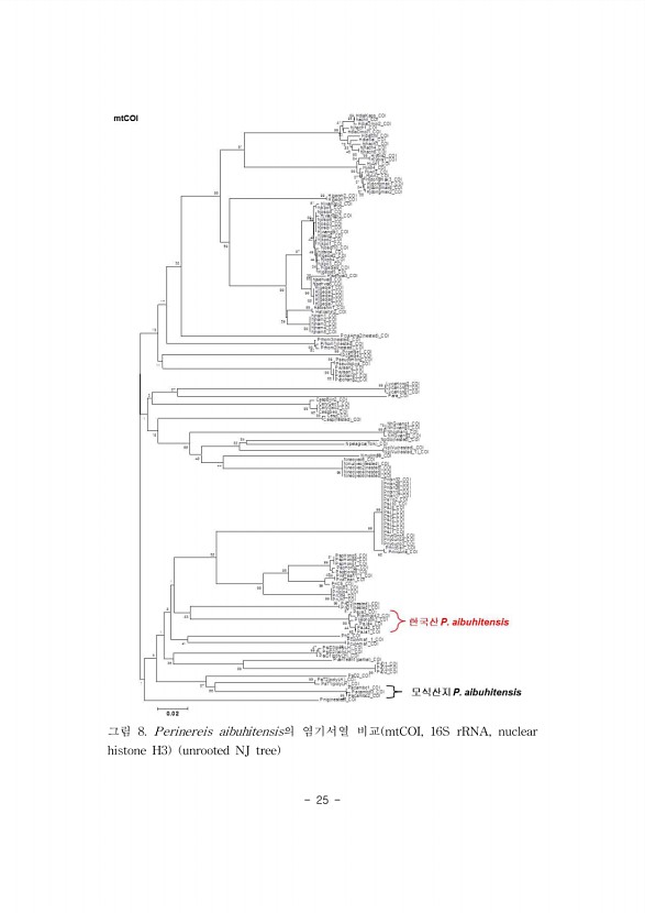 25페이지