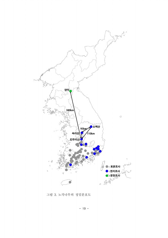 19페이지