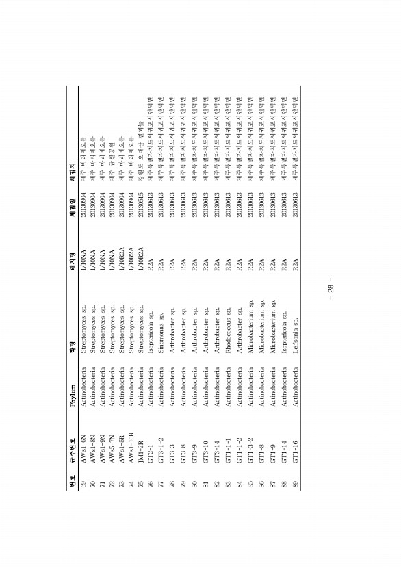 28페이지