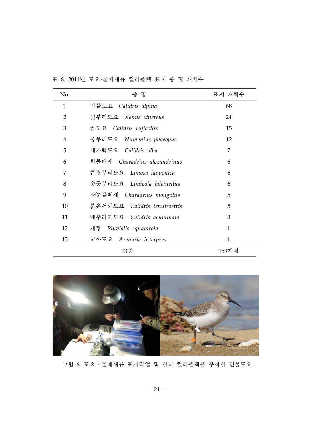 페이지