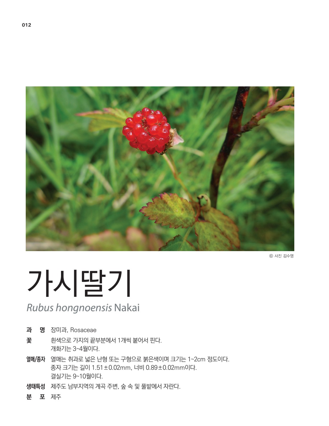 페이지