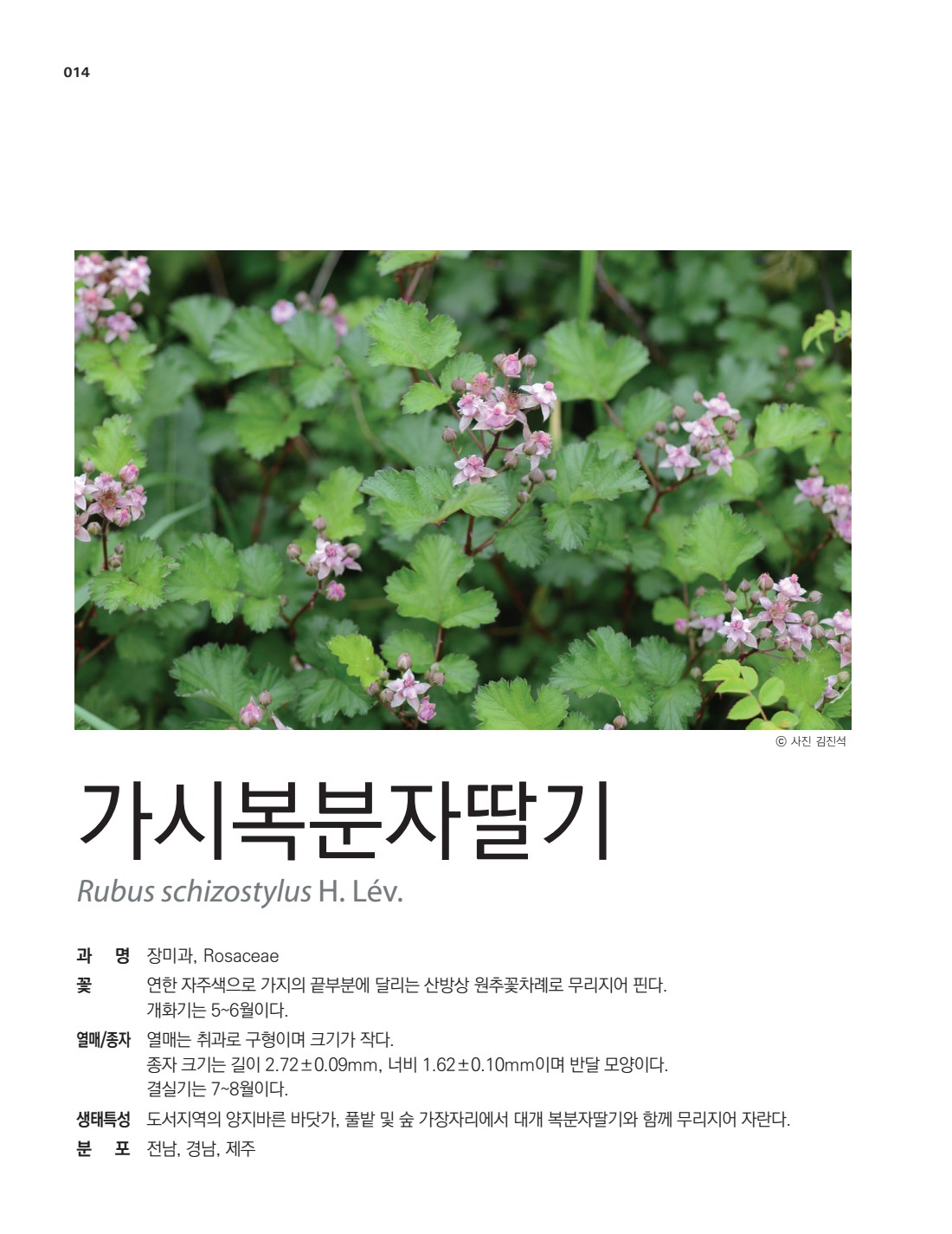 페이지
