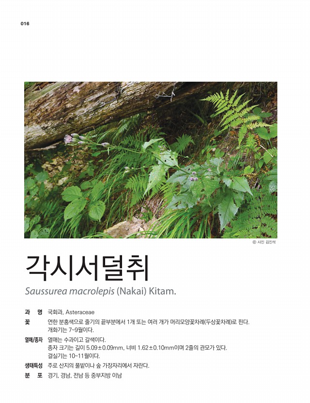 2페이지