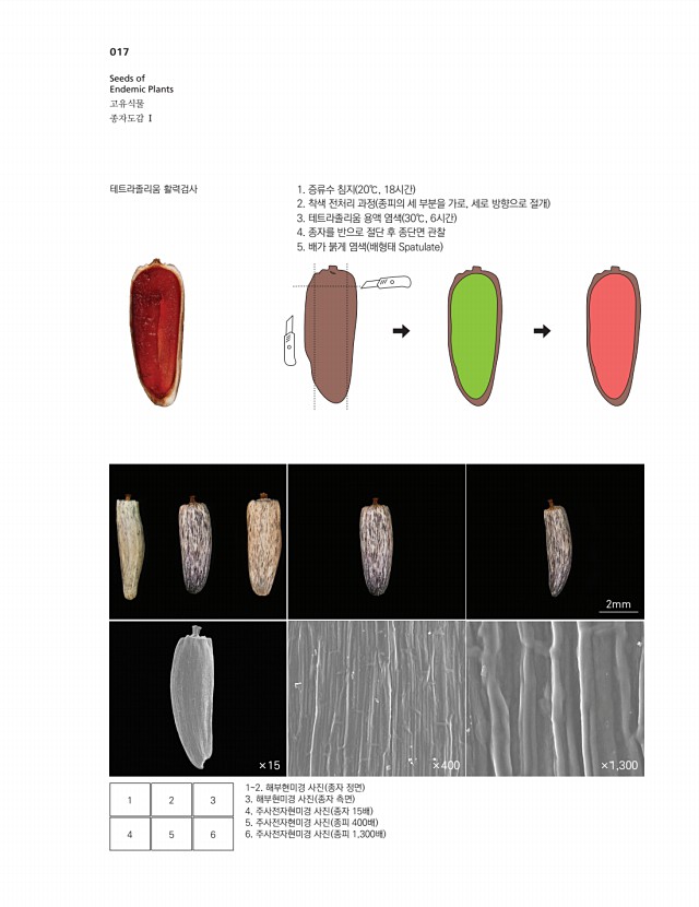 3페이지