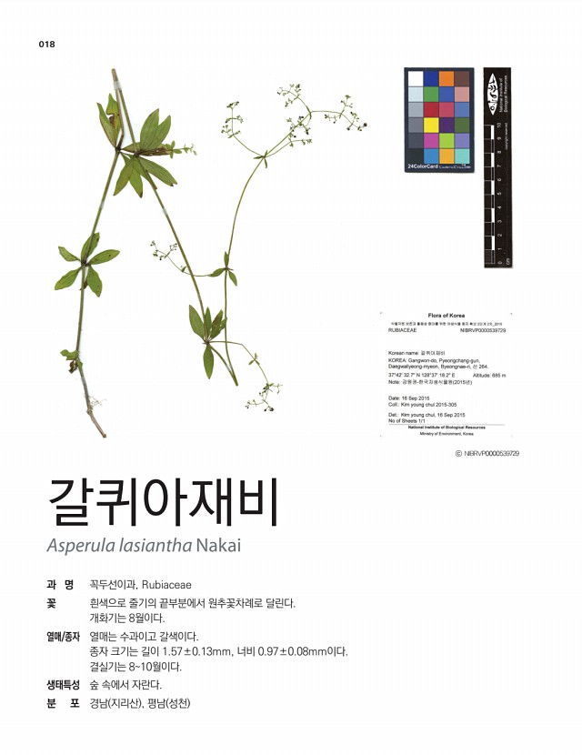 4페이지