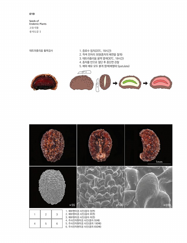 5페이지