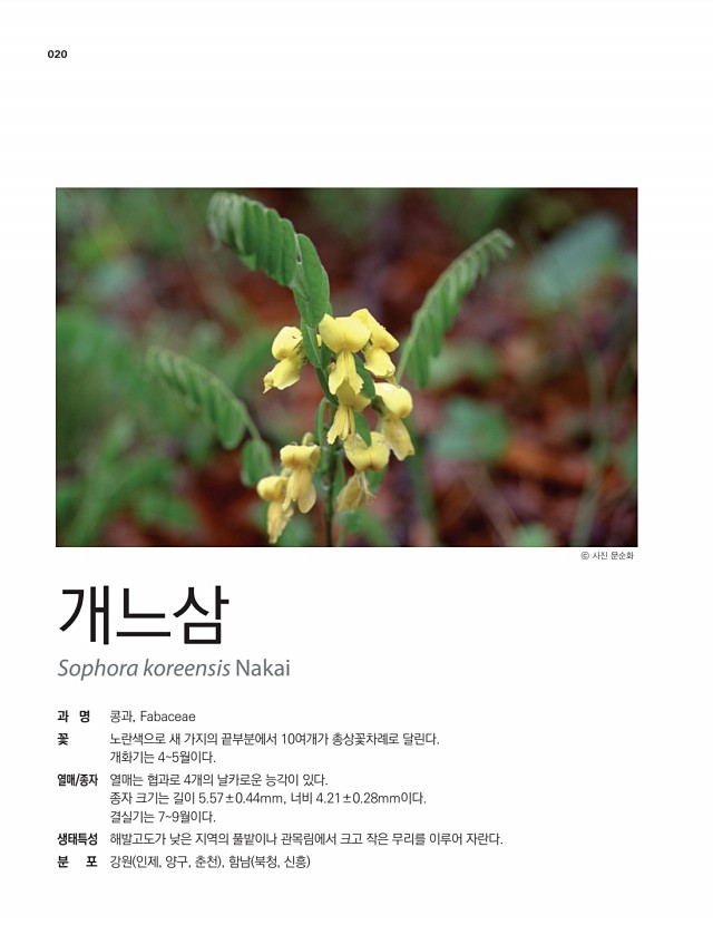 6페이지