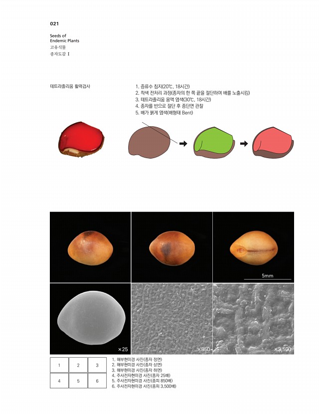 7페이지