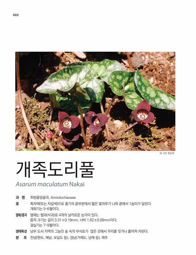 8페이지
