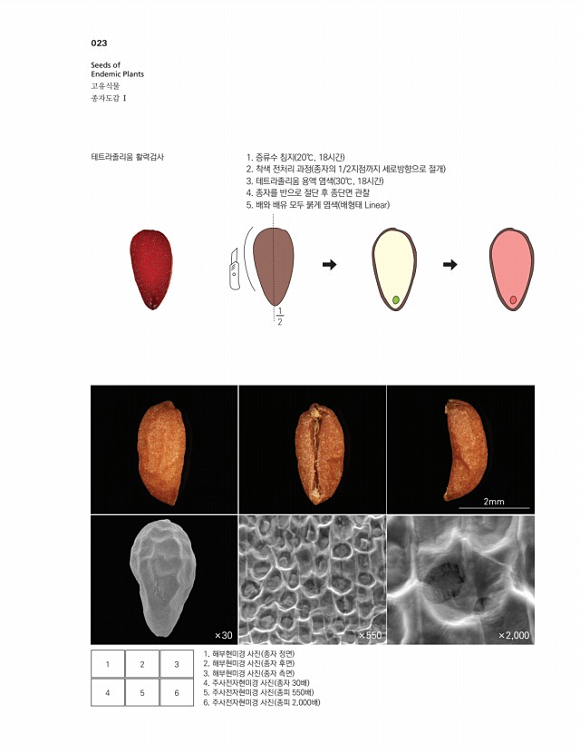 9페이지