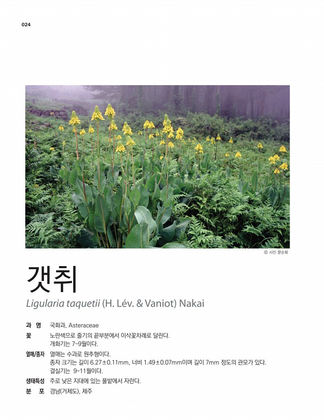 10페이지