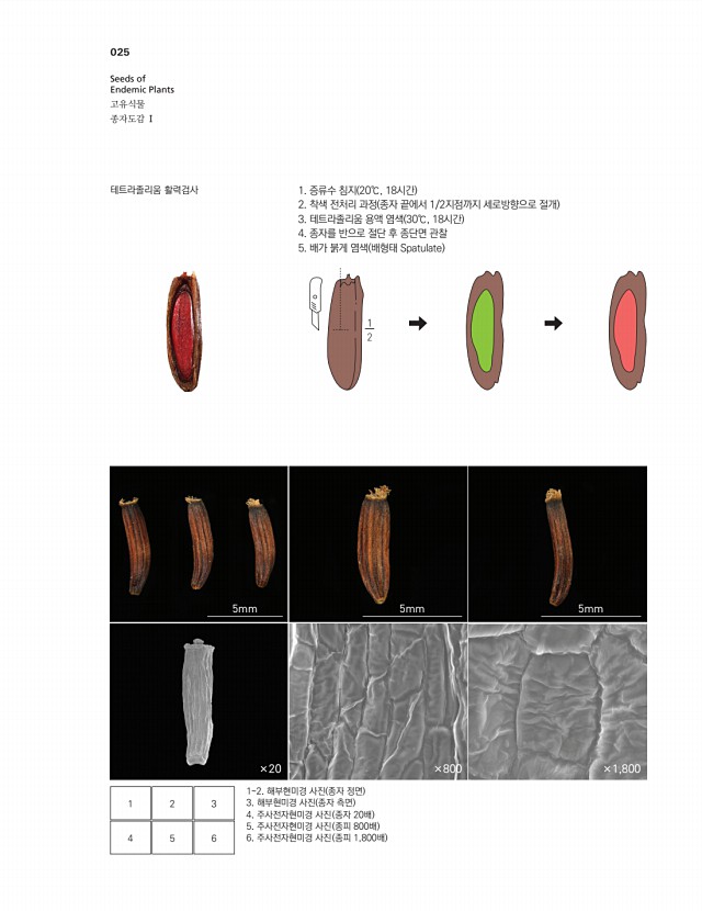 11페이지