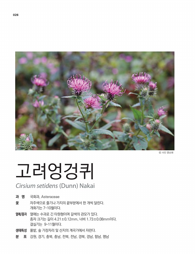 12페이지