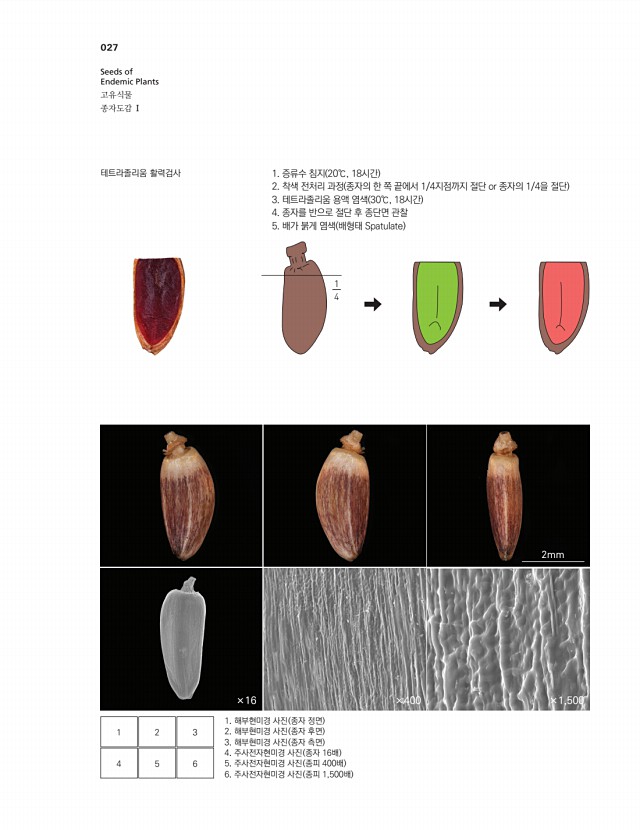 13페이지