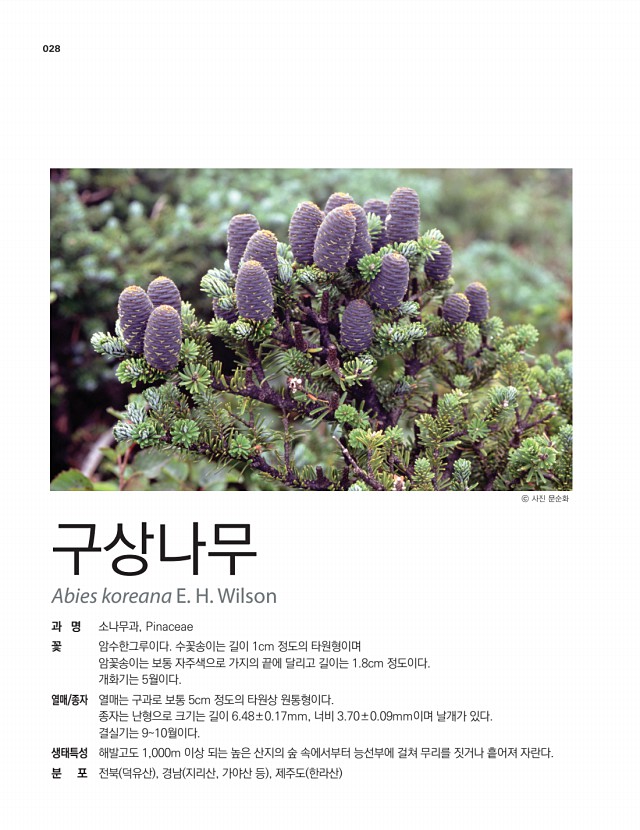 14페이지
