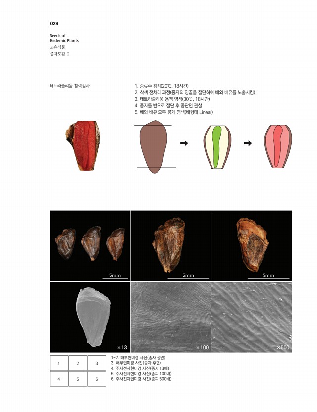 15페이지