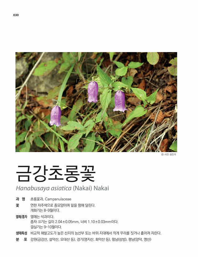 16페이지