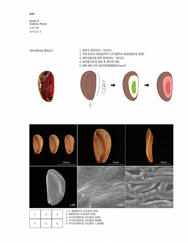 27페이지