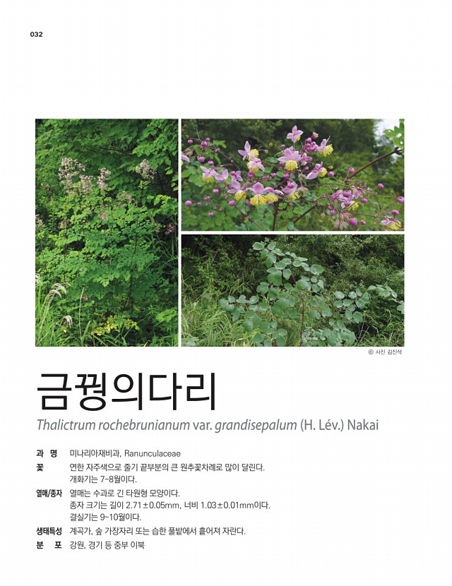 28페이지